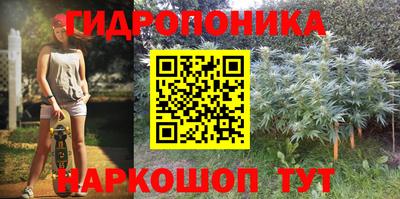 стафф Краснодар