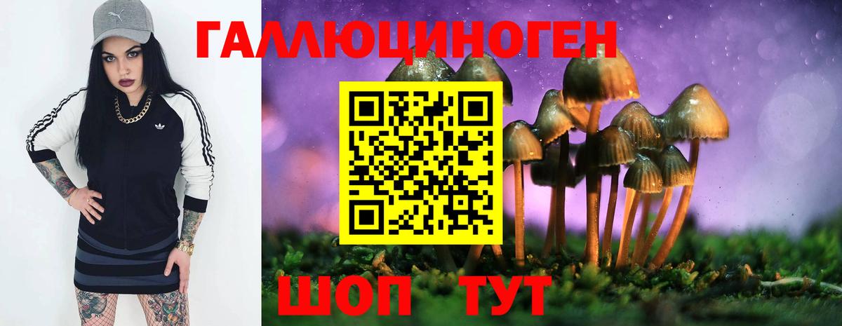 Луховицы  Псилоцибиновые грибы мухоморы  хочу наркоту  Вход с VPN 